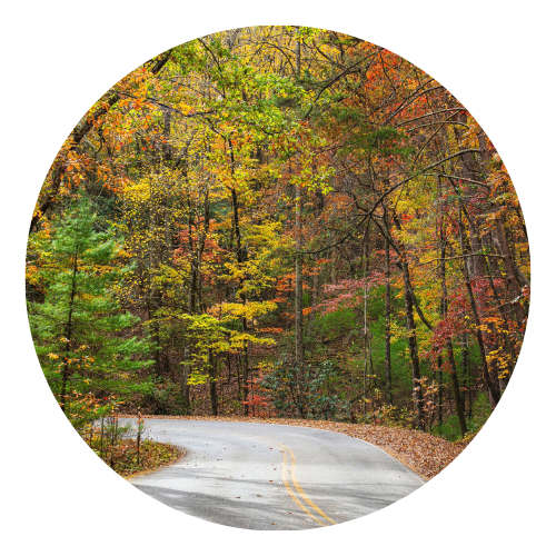 Winding road through colorful autumn trees.