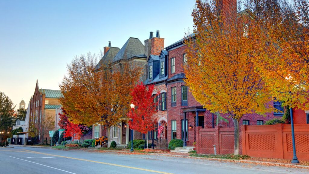 A row of brick homes lined with colorful fall trees along a quiet street.