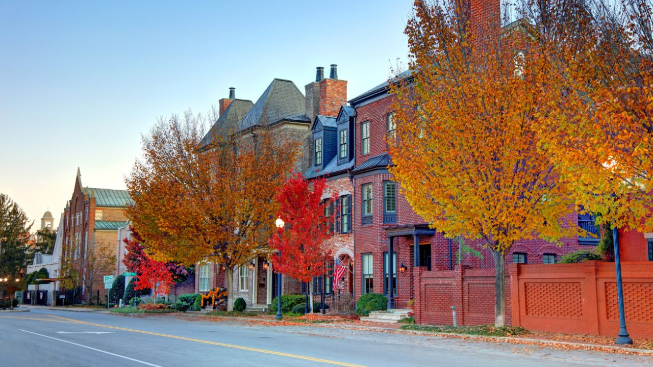 A row of brick homes lined with colorful fall trees along a quiet street.