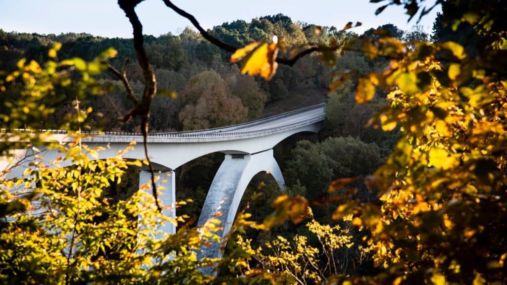 A curved white bridge stretching over a forested valley with fall foliage.