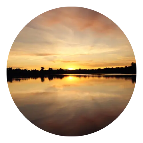 Golden sunset reflected on a calm lake with a silhouetted treeline along the horizon.