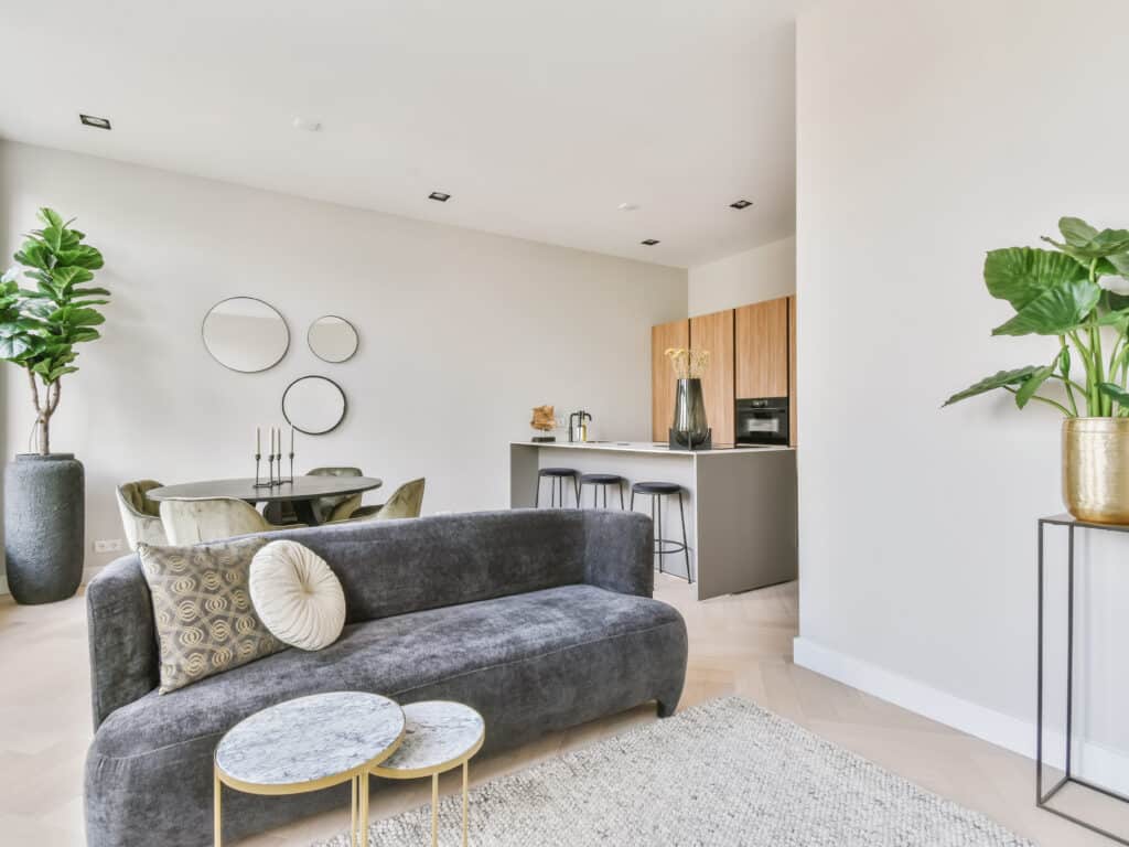 Living room with a velvet sofa and potted plants